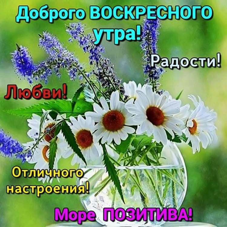 Доброго денечка