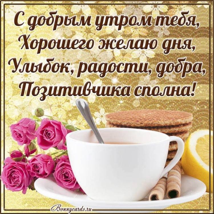 Букеты ромашек с пожеланиями