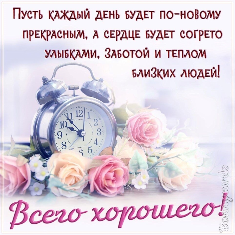 Доброе утро цитаты