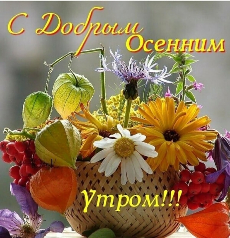Стильные поздравления с добрым утром