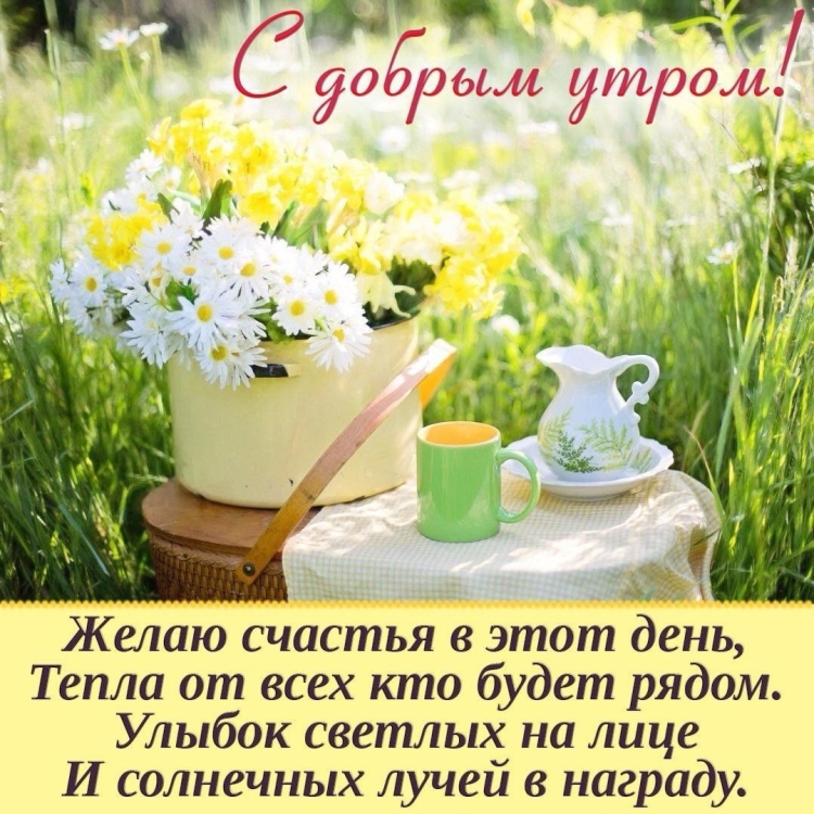 Доброе утро вторника