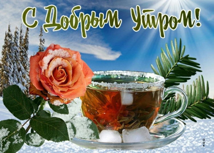 Снежное утро