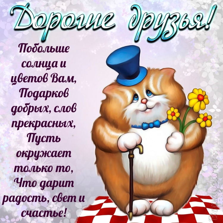 Веселые пожелания