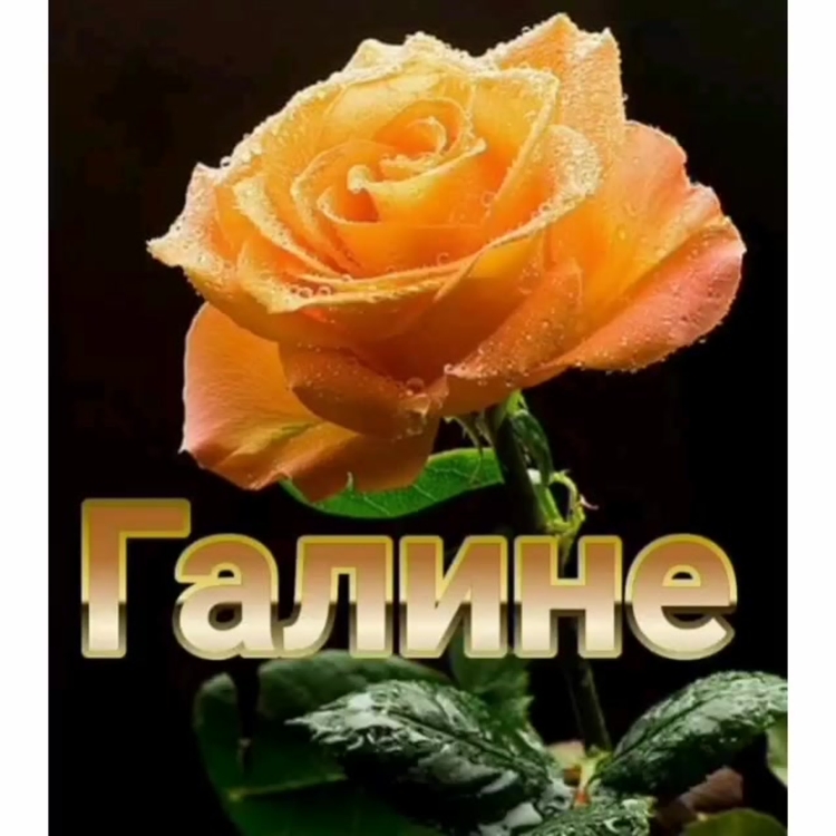 С днём рождения Светачка