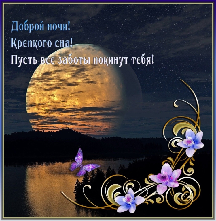Счастливой ночи