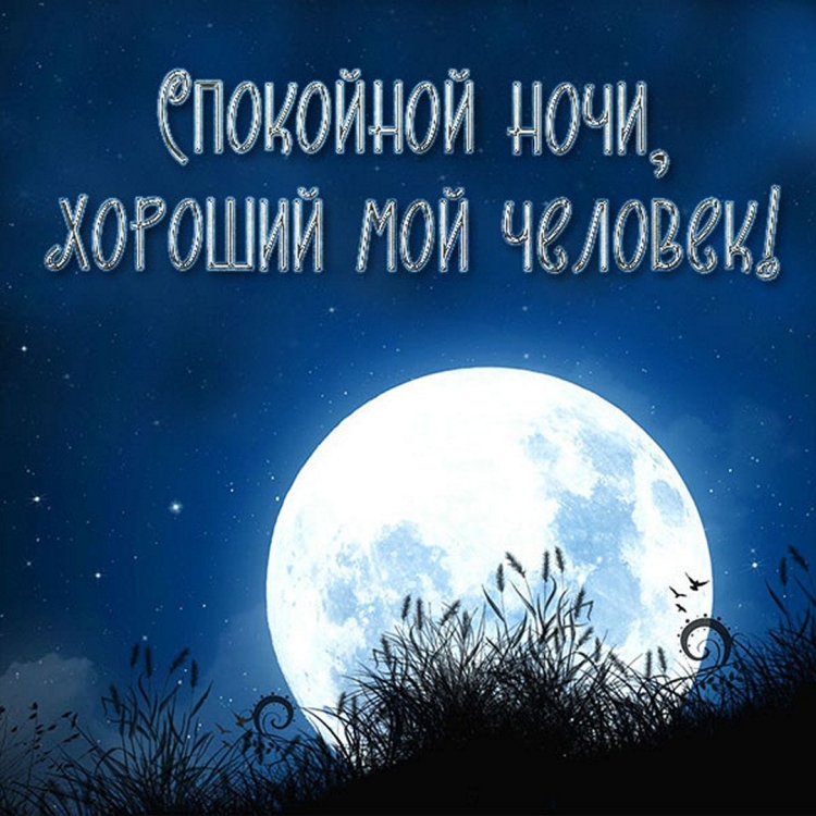 Доброго вечера и спокойной ночи