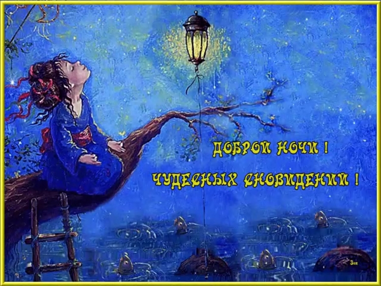 Бабочки ночью