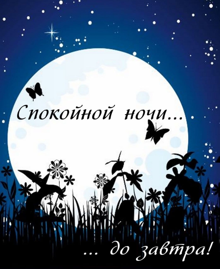 Доброй ночи сладких снов