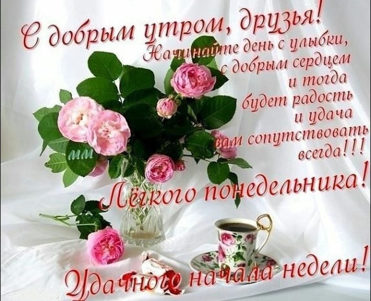 Открытки с добрым утром понедельника