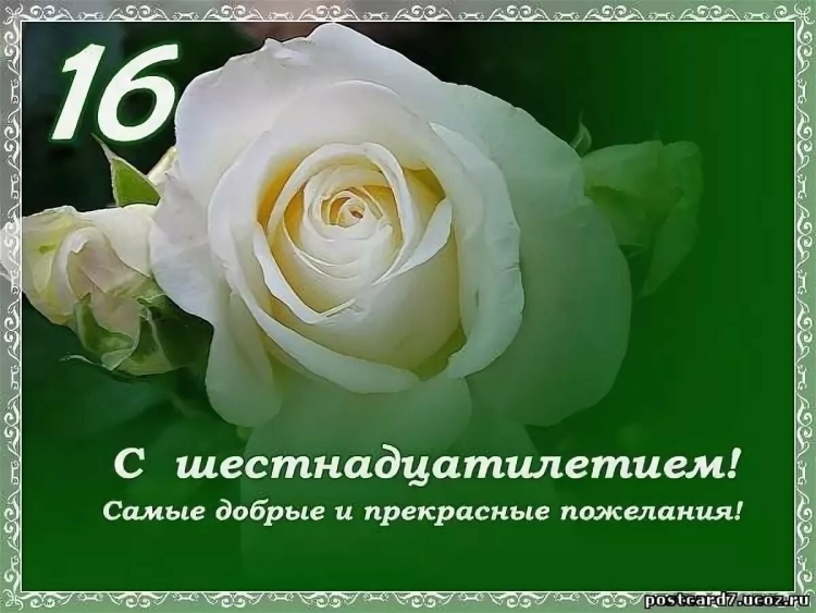 Поздравления с днем рождения 16 лет в прозе