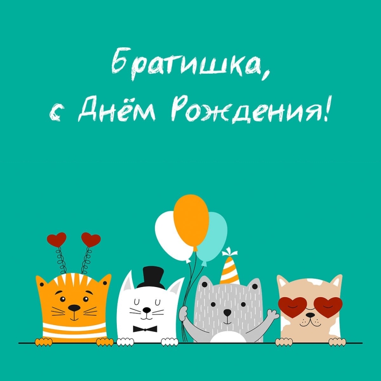 С днем рождения брат кот