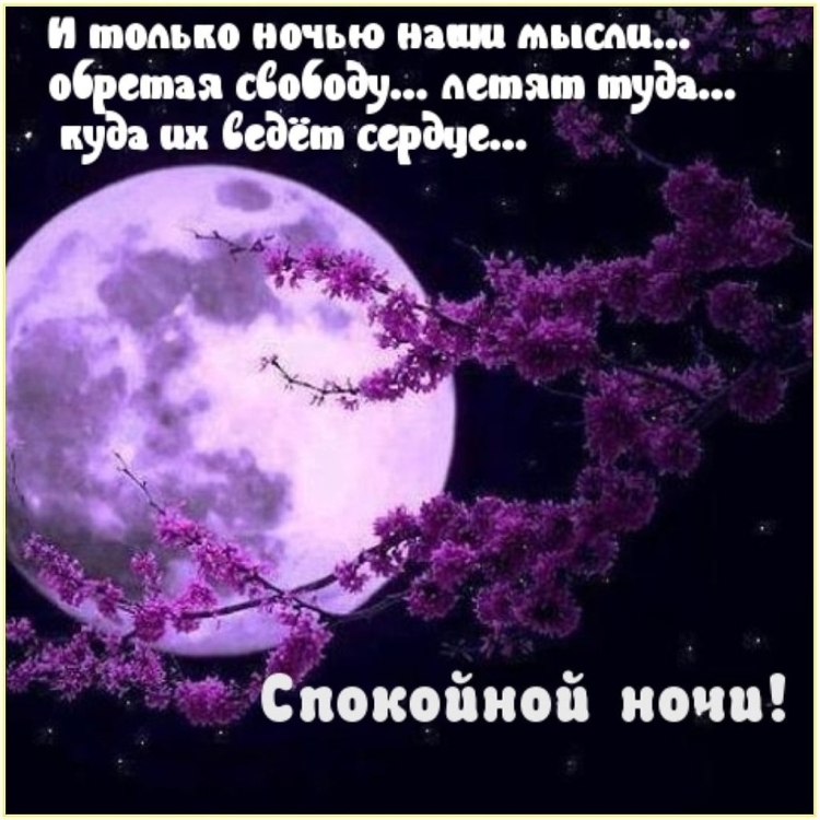 Спокойной ночи Медвежонок с пожеланиями