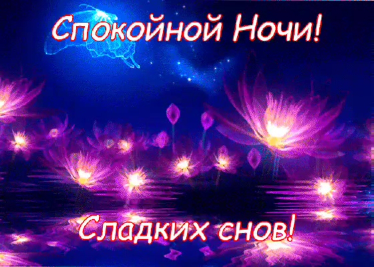 Медвежонок желает спокойной ночи