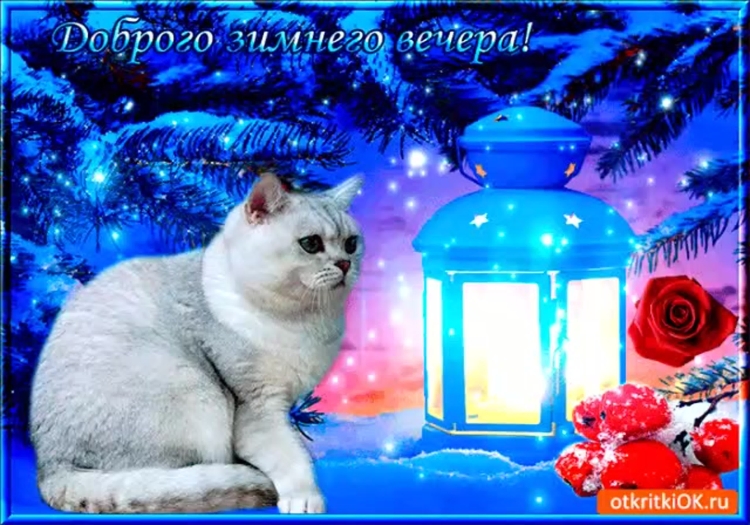 Открытки с добрым утром февраля