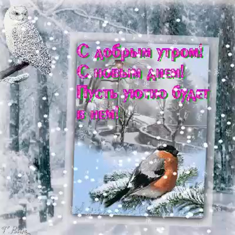 Новогодние открытки с добрым утром