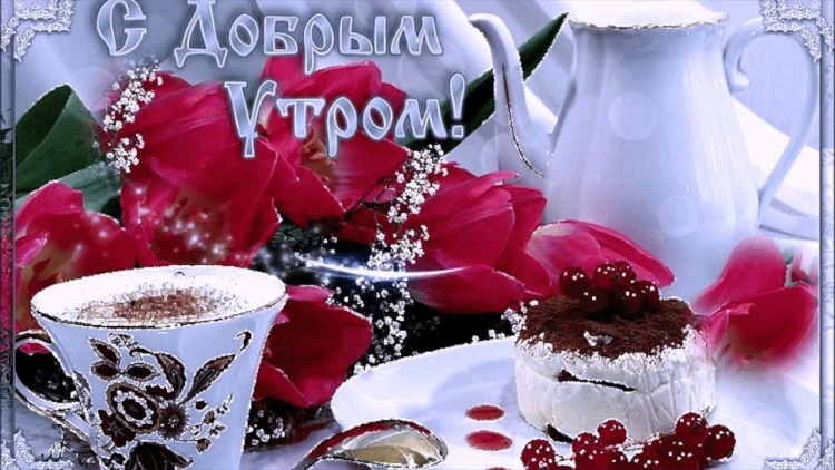 Открытки с добрым утром зимние с котиками