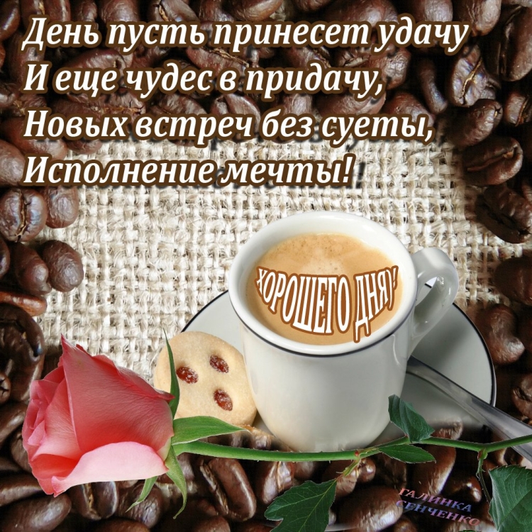 Красивые пожелания
