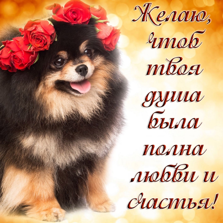 Открытка хорошего вечера мужчине