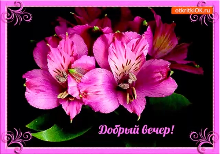 Добрый вечер
