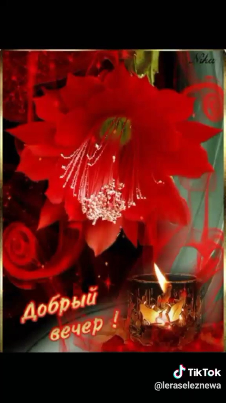 Добрый вечер анимация