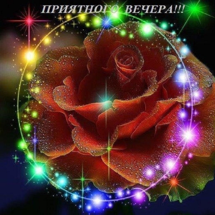Мерцающие в ночи