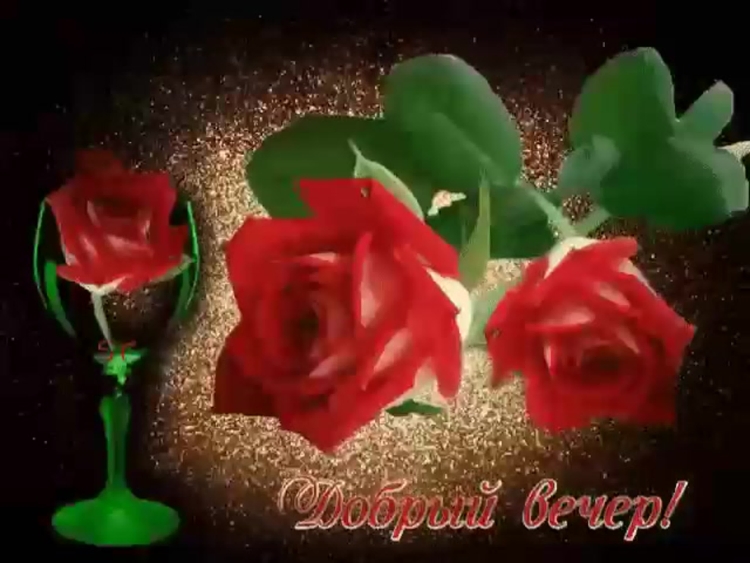 Добрый вечер с цветами