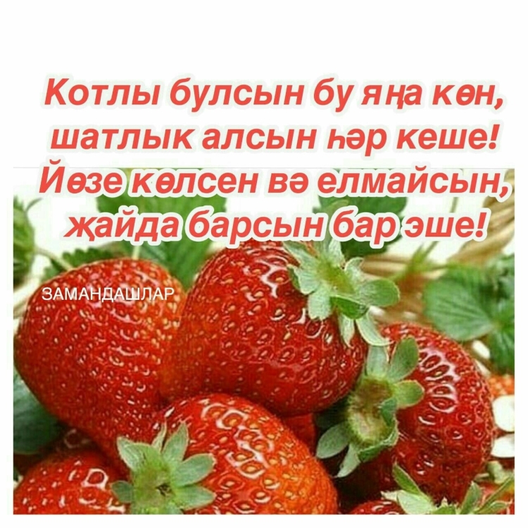 Открытки с добрым утром на татарском языке