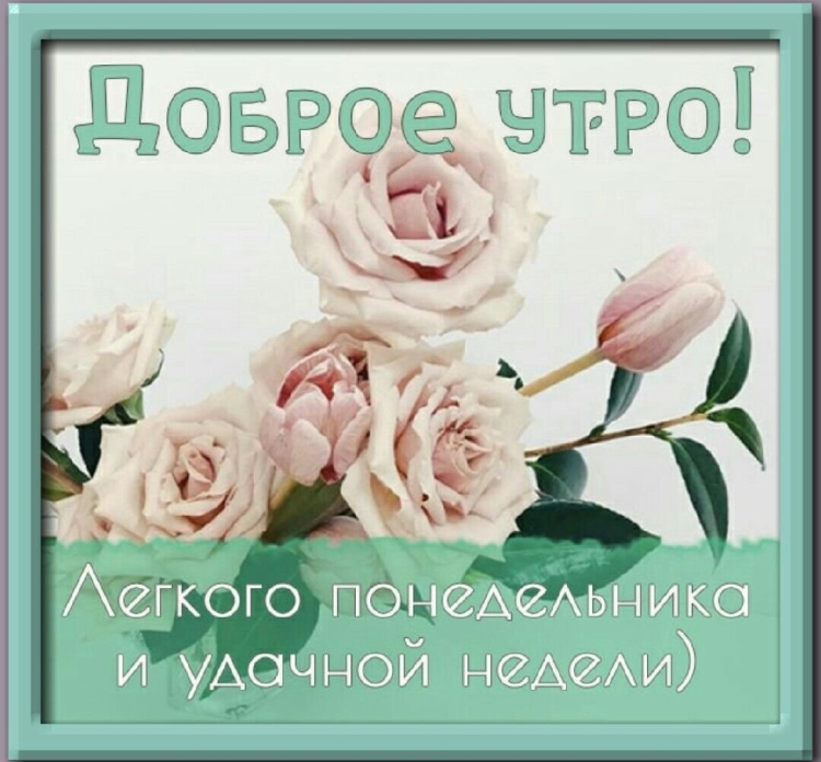 Доброе уьропонедельника