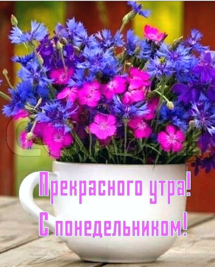Открытка бодрости на весь день