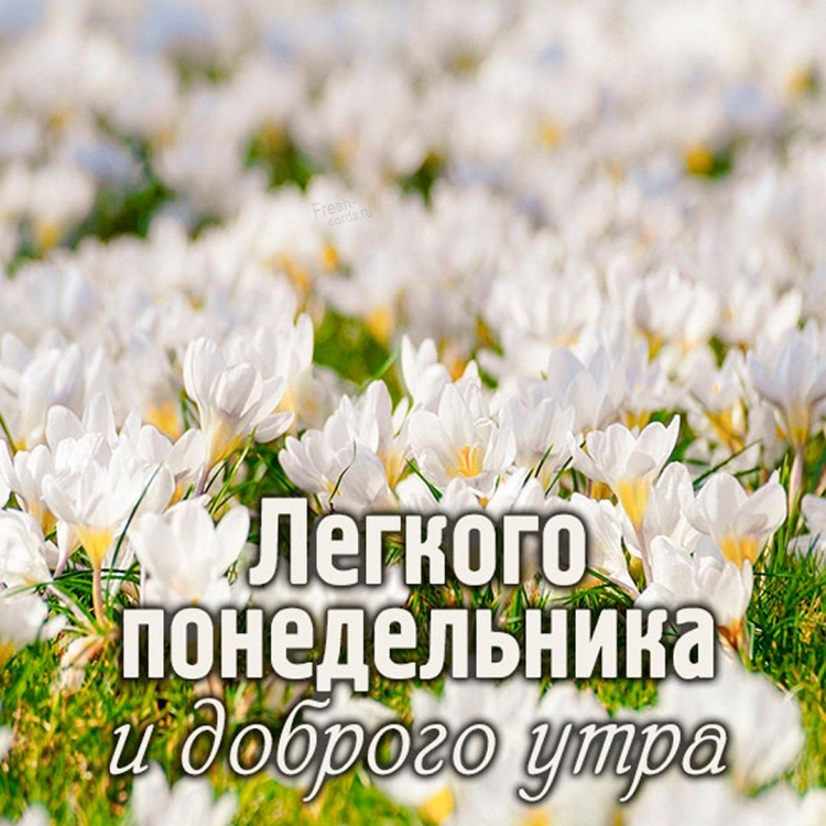 С добрым утром понедельника