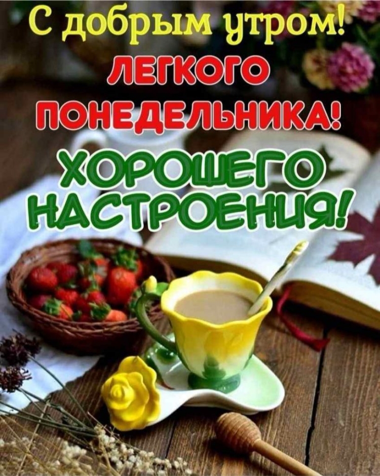 Доброе летнее утро понедельника
