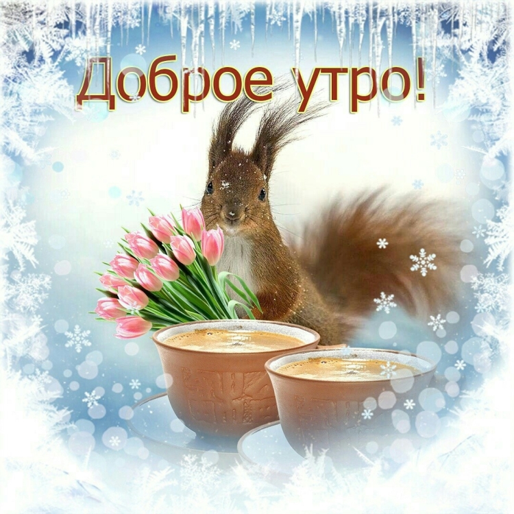 Доброго понедельника