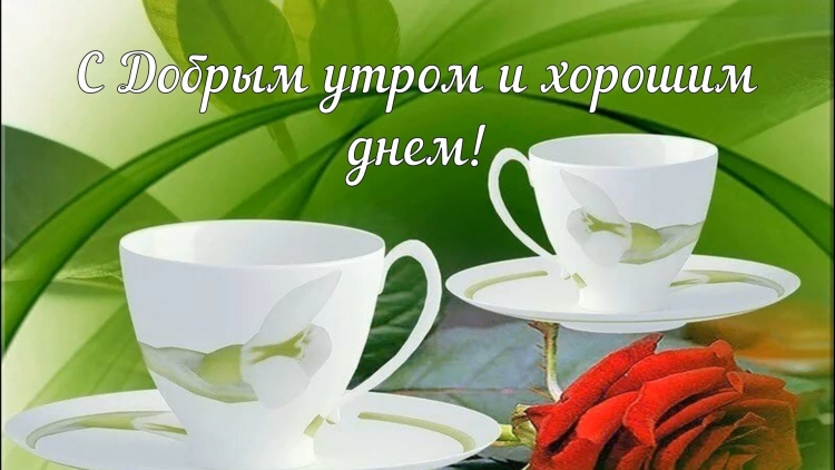 Доброе утро легкого понедельника цветы