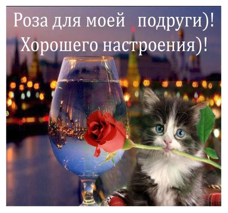 Хорошего вечера и настроения