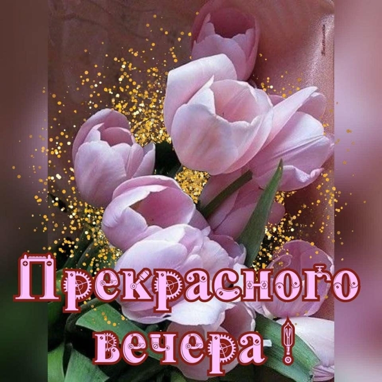 Вечерние поздравления с добрым вечером