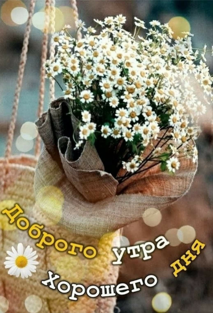 Открытка теплого утра