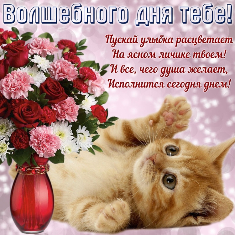 Открытки хорошего дня