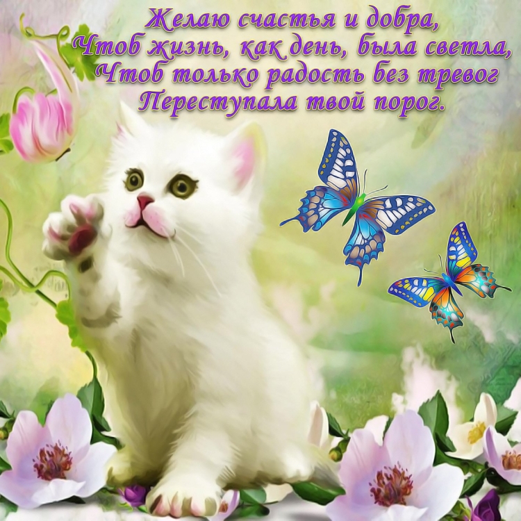 Открытки с пожеланиями
