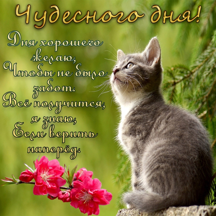 Хорошие пожелания