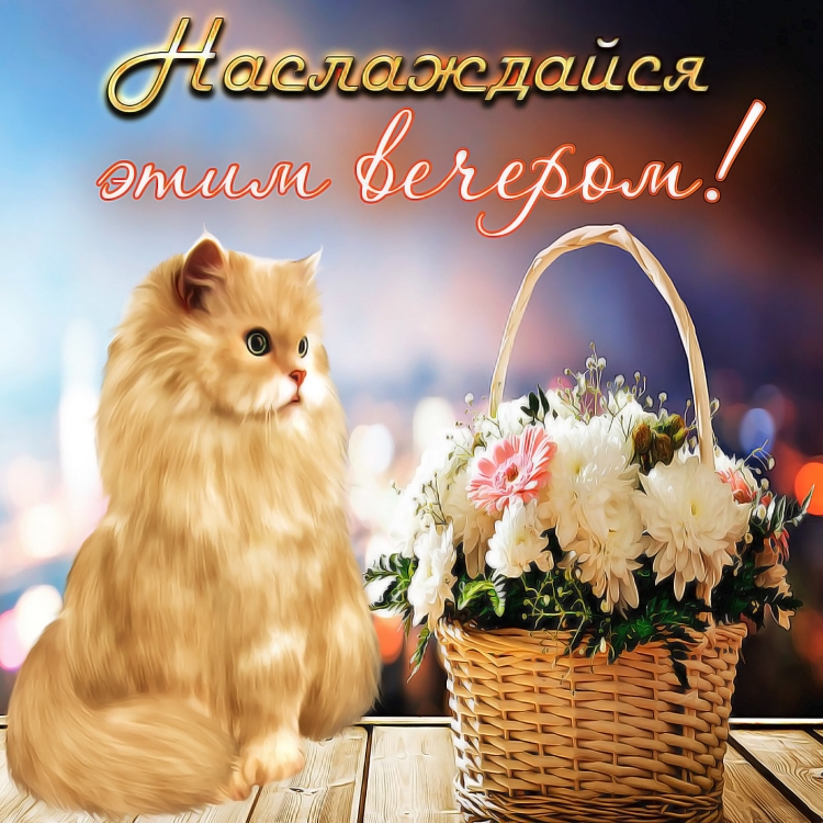 Окрыкасдобрым вечером