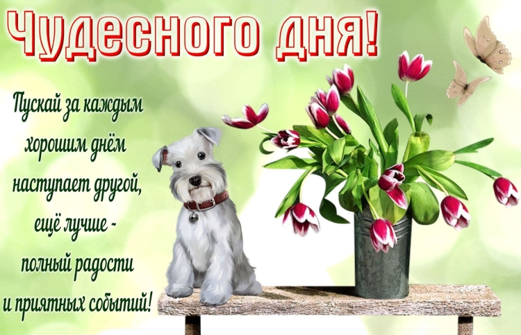 Хороший день