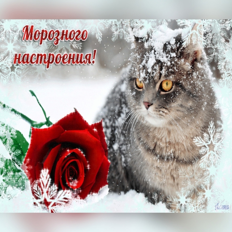 Чудесного зимнего дня и отличного настроения