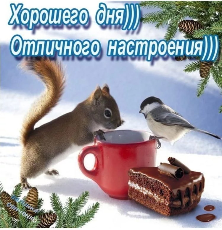 Удачного зимнего дня и хорошего настроения