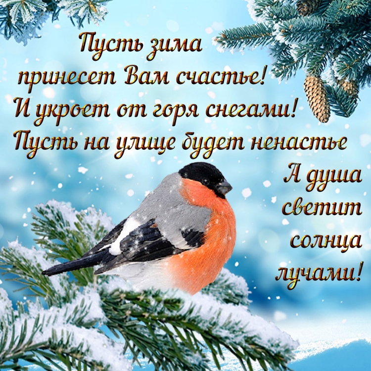 Поздравления с добрым зимним