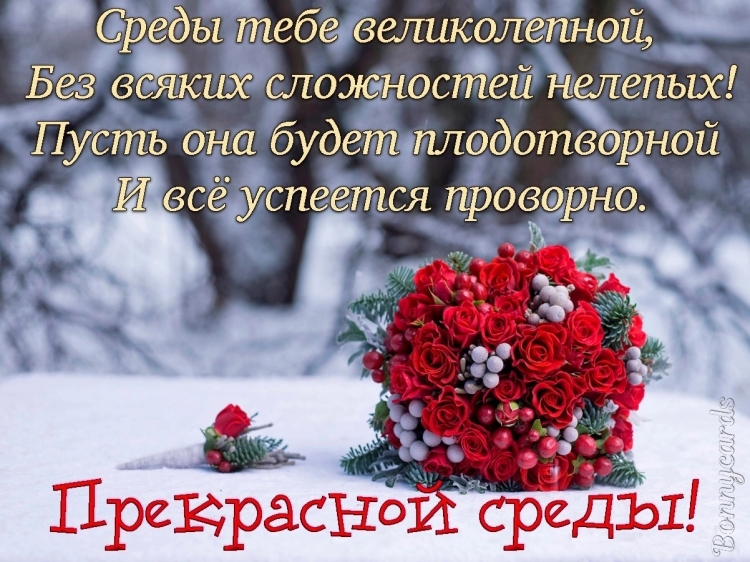 Цветы для хорошего зимнего настроения