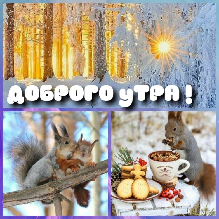 Открытки с добрым утром зимние