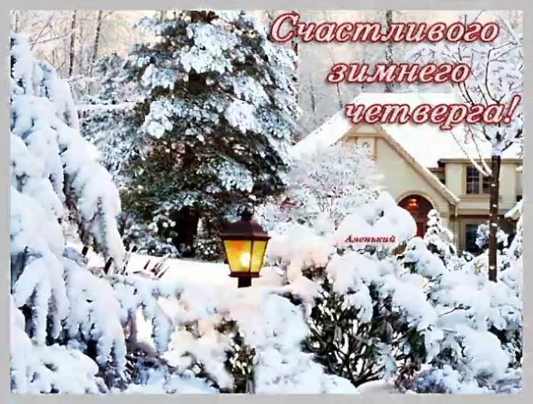 Новогодние открытки с птичками