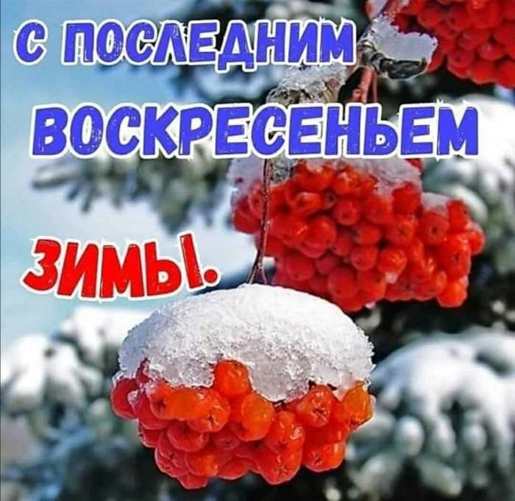 Зимние поздравления с добрым днем