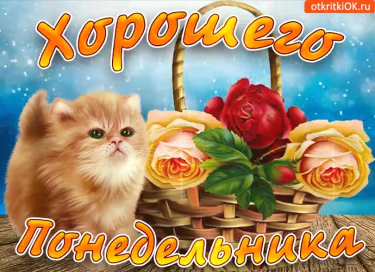 Добрый вечер фрукты