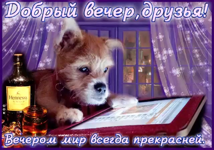 Вечерние поздравления с добрым вечером